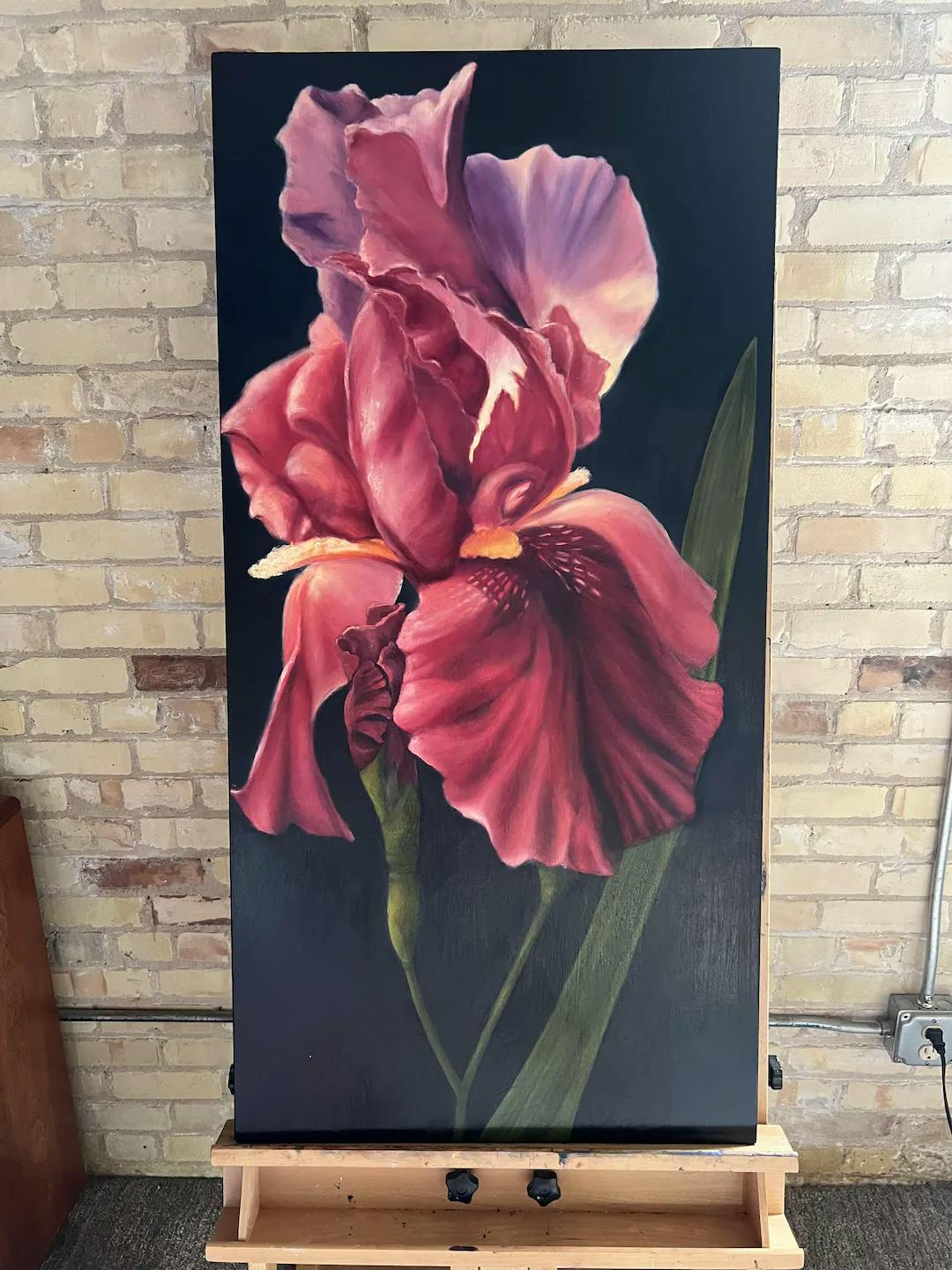 Peggy Slattery - An Iris Collection of 5